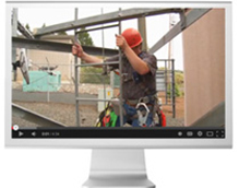 View the Day Wireless Video Library Video Library